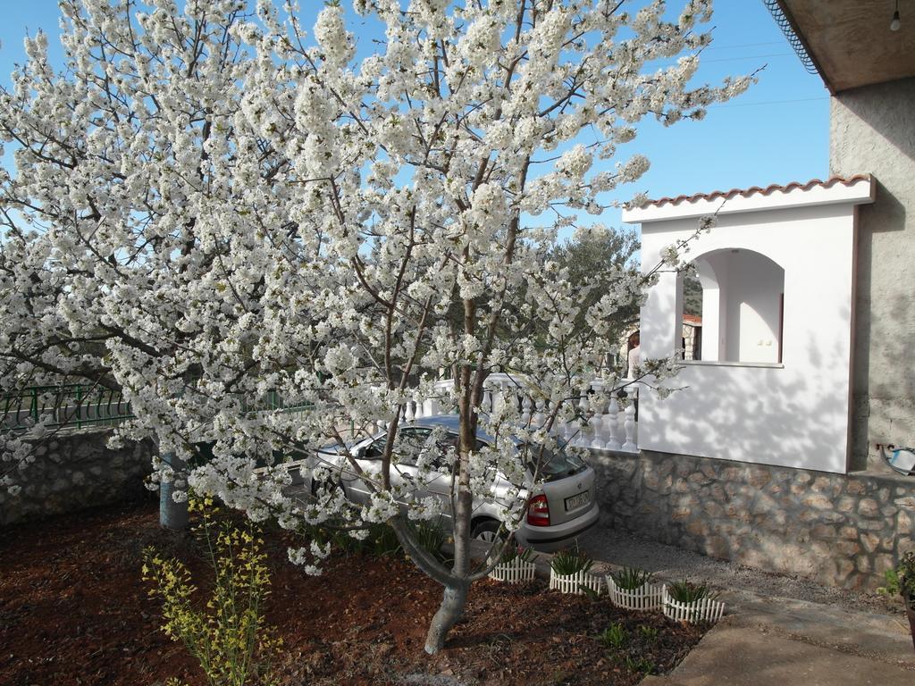 Apartment Antonio Sibenik Exterior photo